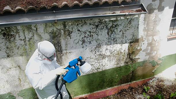 Trusted Crawl Space Mold Removal service in Roebling, NJ - Cheap Mold Removal